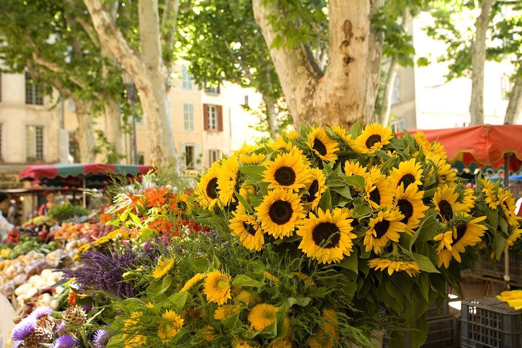 Les Jardins De Baracane Avignon Exterior photo